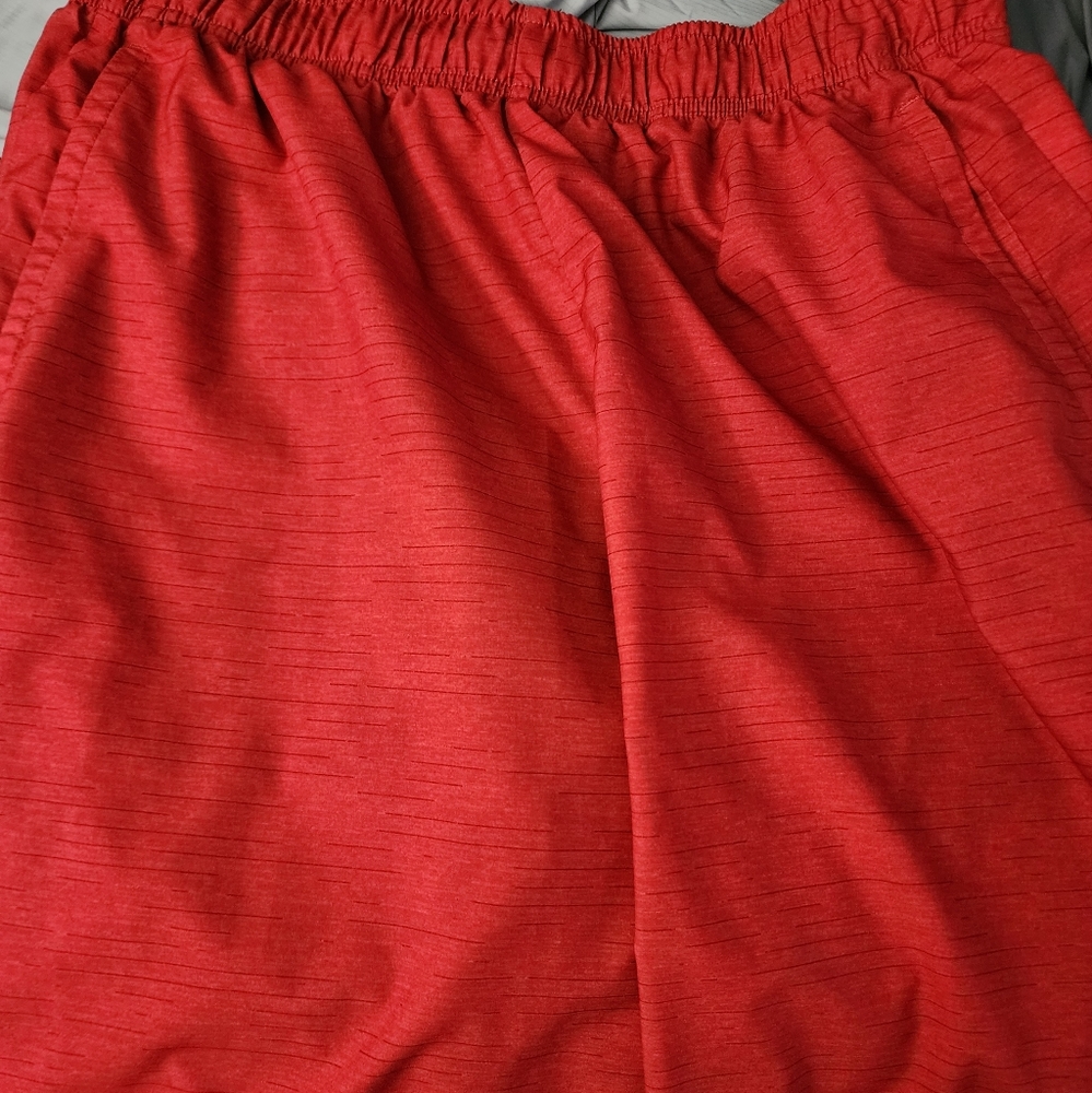 Men Nike DRI-Fit Shorts Large